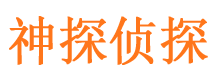 天台市调查公司